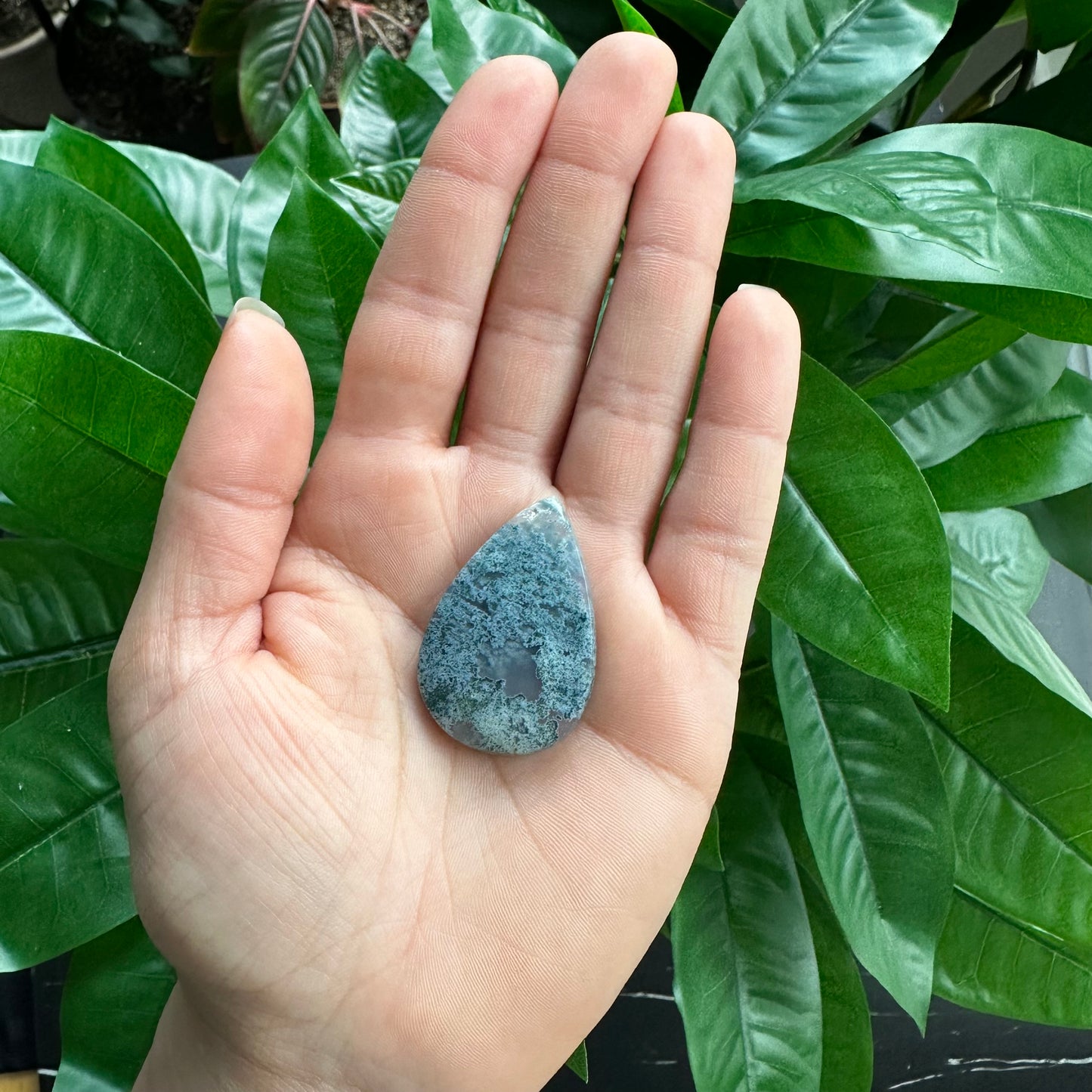 Tree Agate Cabochon | For Wire Wrapping & Jewelry Making | AC2