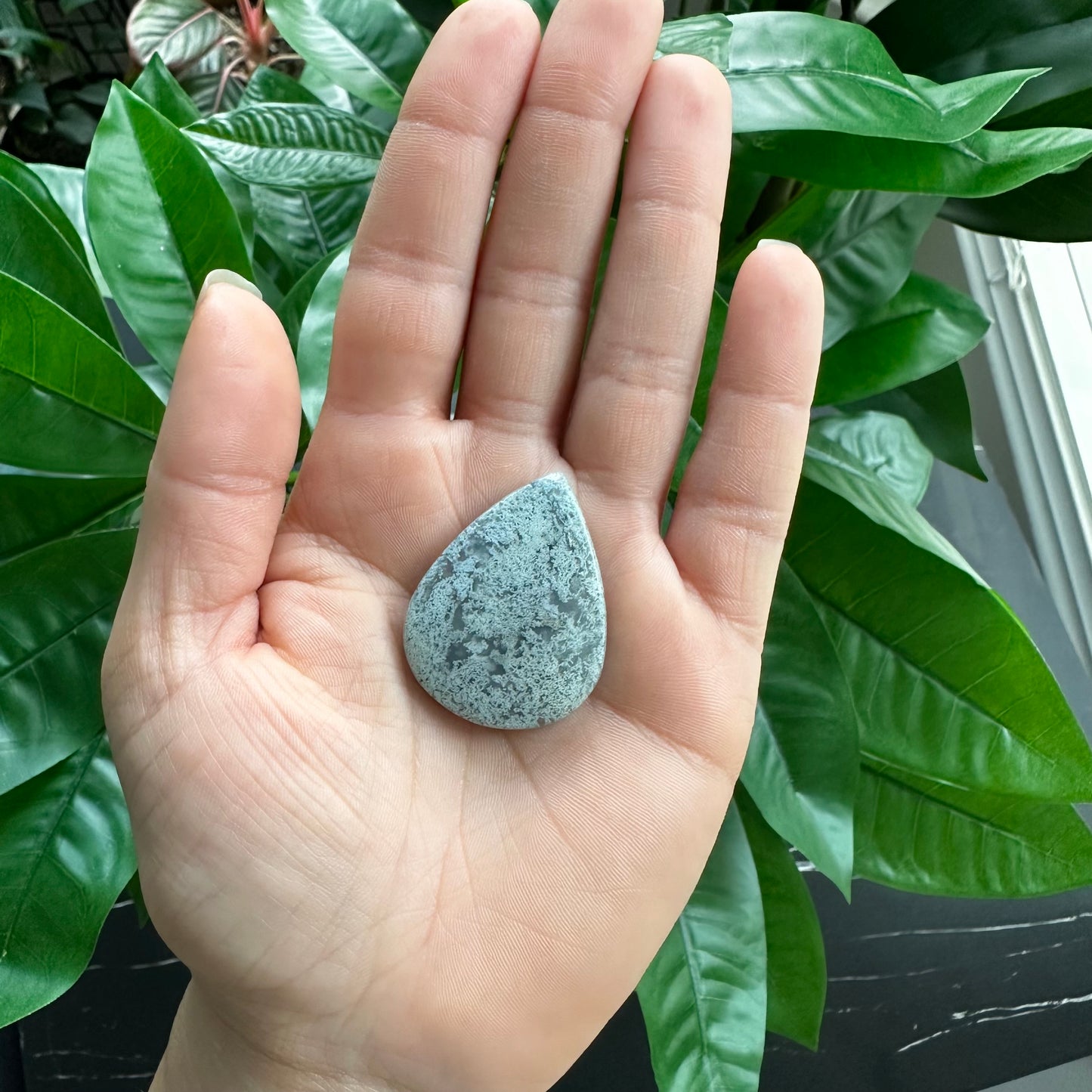 Tree Agate Cabochon | For Wire Wrapping & Jewelry Making | AC4