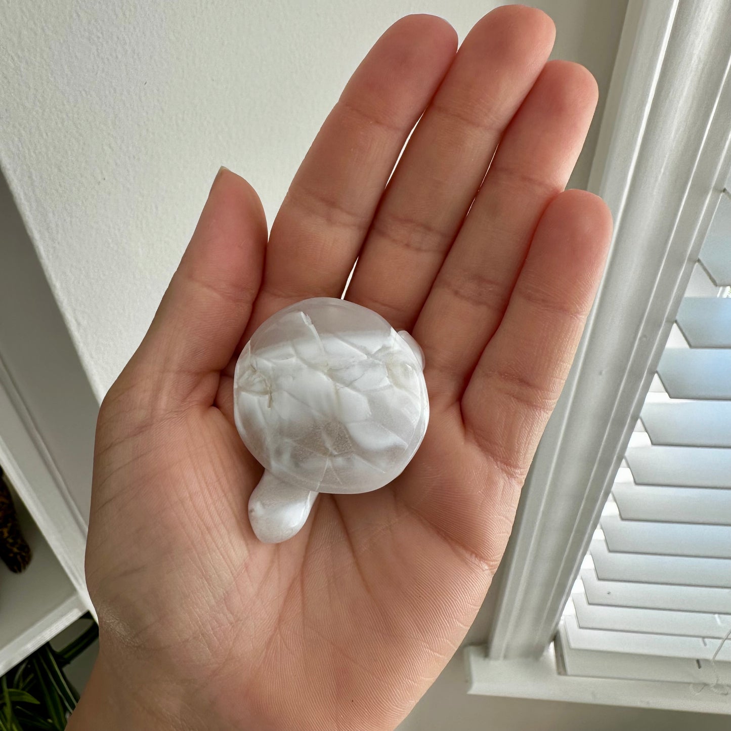 Agate Turtle | Small