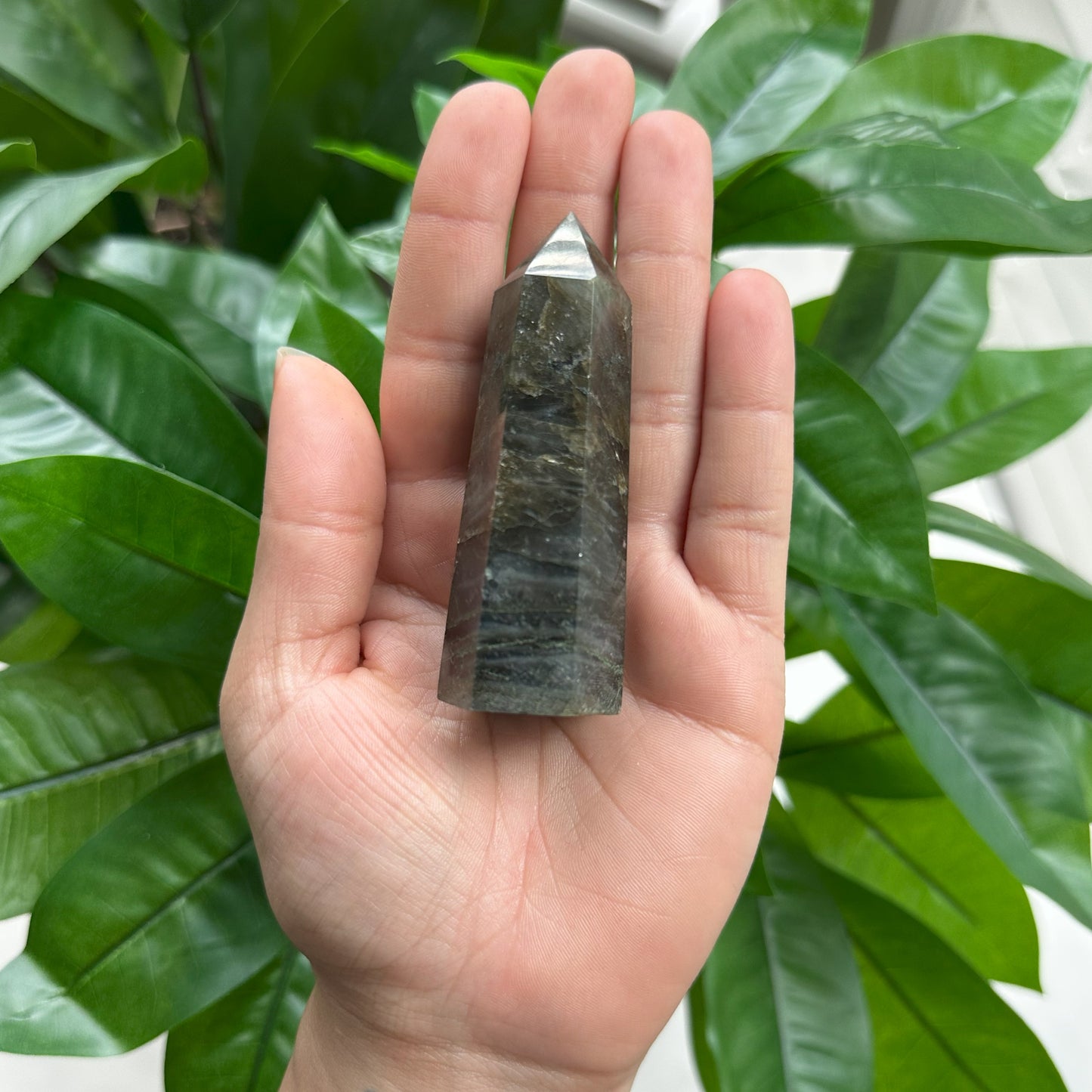 Labradorite Tower | 2.9 oz | 3" | LT1