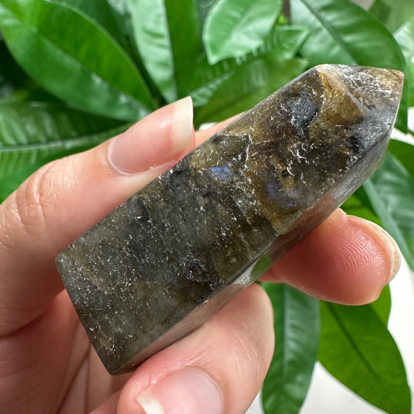 Labradorite Tower | 1.1 oz | 2.2" | LT4