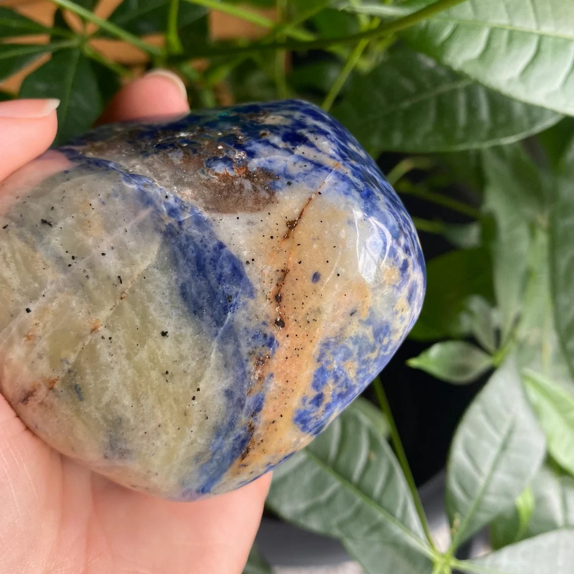 Sodalite Freeform | 13.3 oz | 3” | Palm Stone | S2