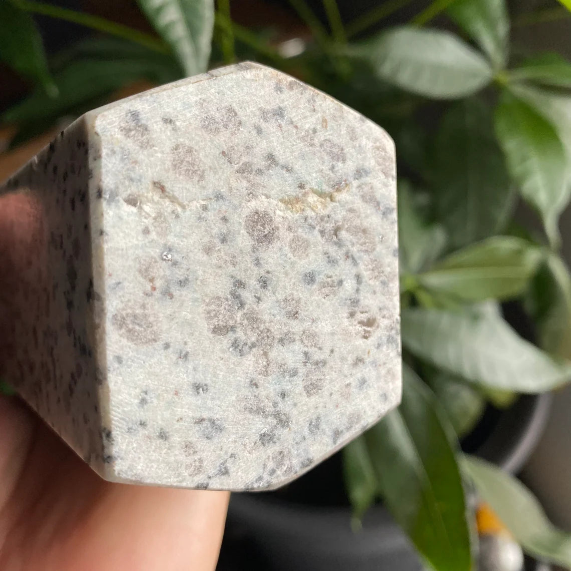 Kiwi Jasper Tower | 2 lb 4.1 oz | 8.25" | Crystal Tower | Large Tower | Jasper Tower