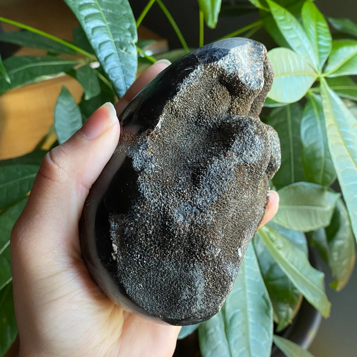Septarian Geode Egg w/ Druzy | 1 lb 13.9 oz | 4.7" | Dragon Stone | Septarian Dragon Egg | Crystal Geode