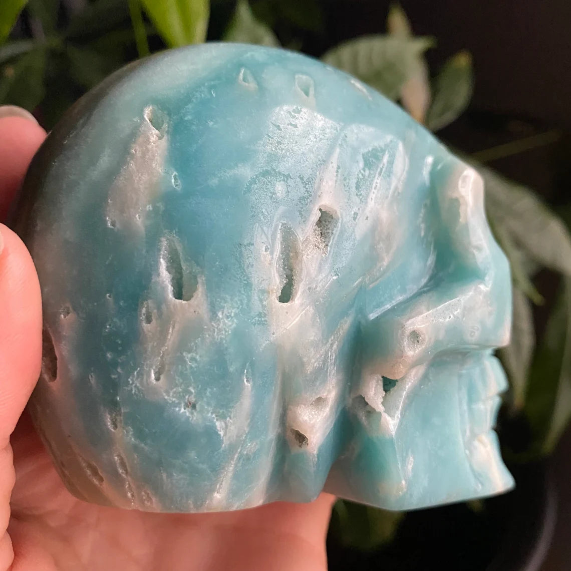 Caribbean Calcite Crystal Skull w/ druzy| 1 lb 11.6 oz | 4" | Crystal Carving