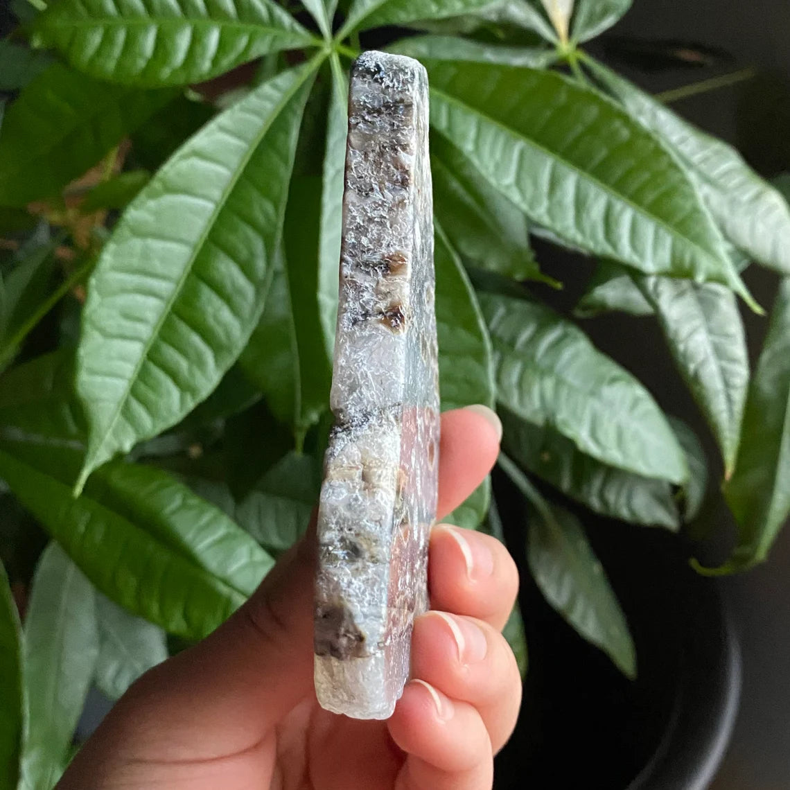 Ocean Jasper Slab | 4.3 oz | 4.2" | Jasper | Crystal Slab