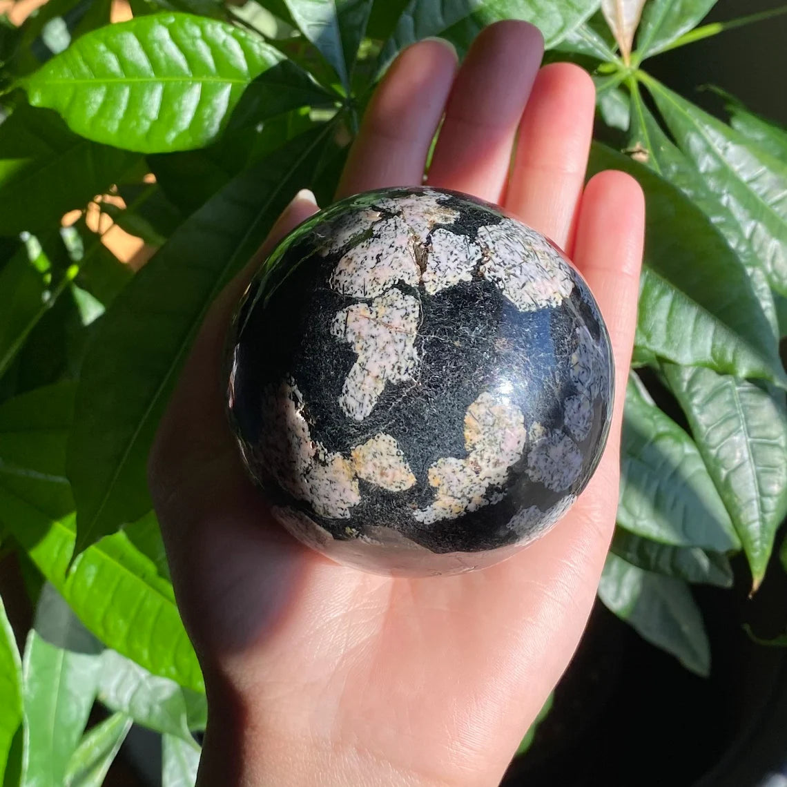 Snowflake Obsidian Sphere | 1 lb 4.3 oz | 2.8 in | Crystal Sphere