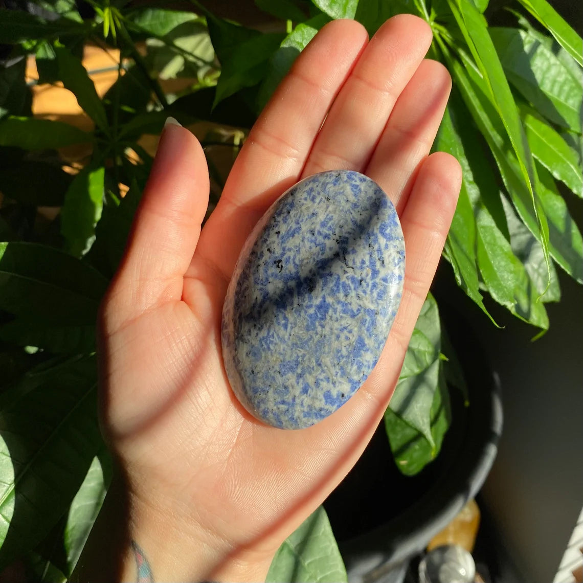 Pale Sodalite Palm Stone | 2.9 oz | 3" | Palm Stone | SPS9