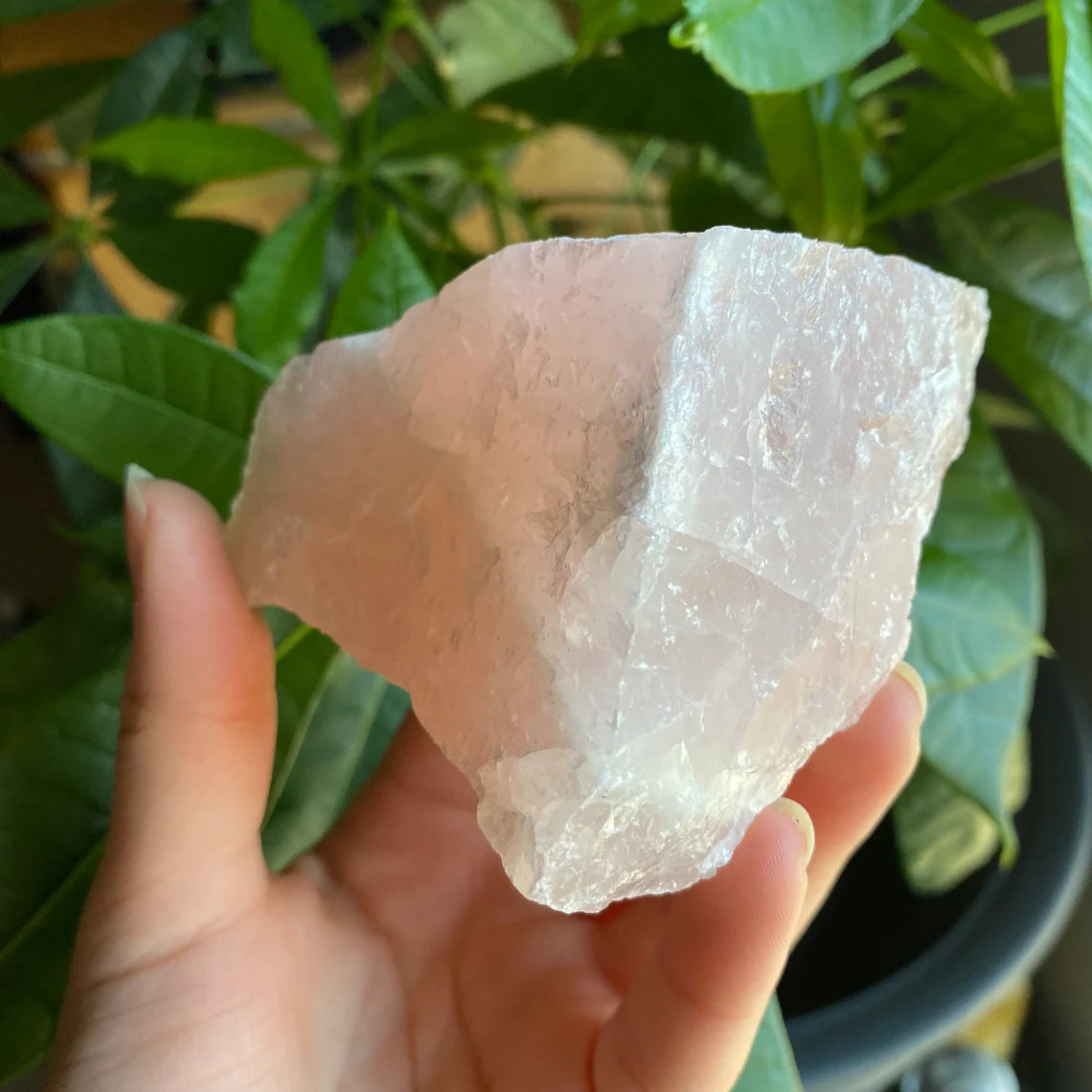 Rough Rose Quartz | 13.9 oz | 4” | Rough Stone | Palm Size Stone | R6