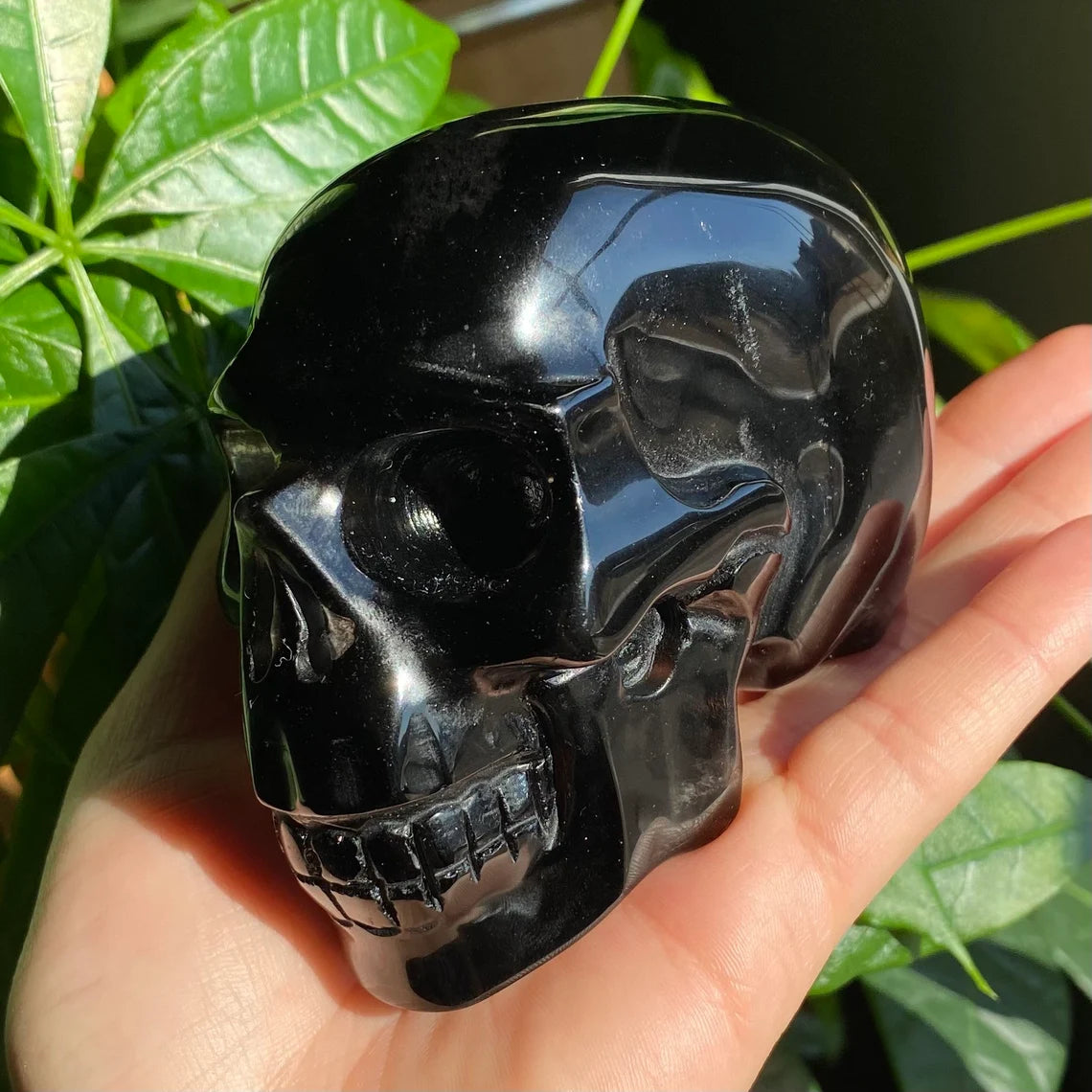 Smoky Quartz Skull | 1 lb 1.3 oz | 4" | Crystal Carving | Large Crystal Skull