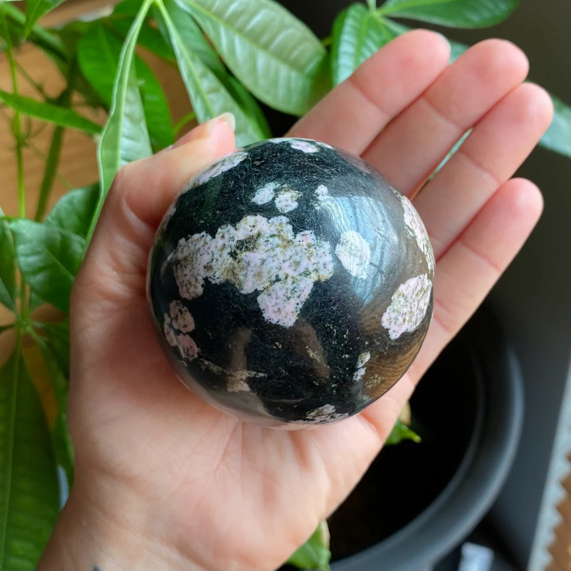 Snowflake Obsidian Sphere | 1 lb | 2.6 in | Crystal Sphere | SO2