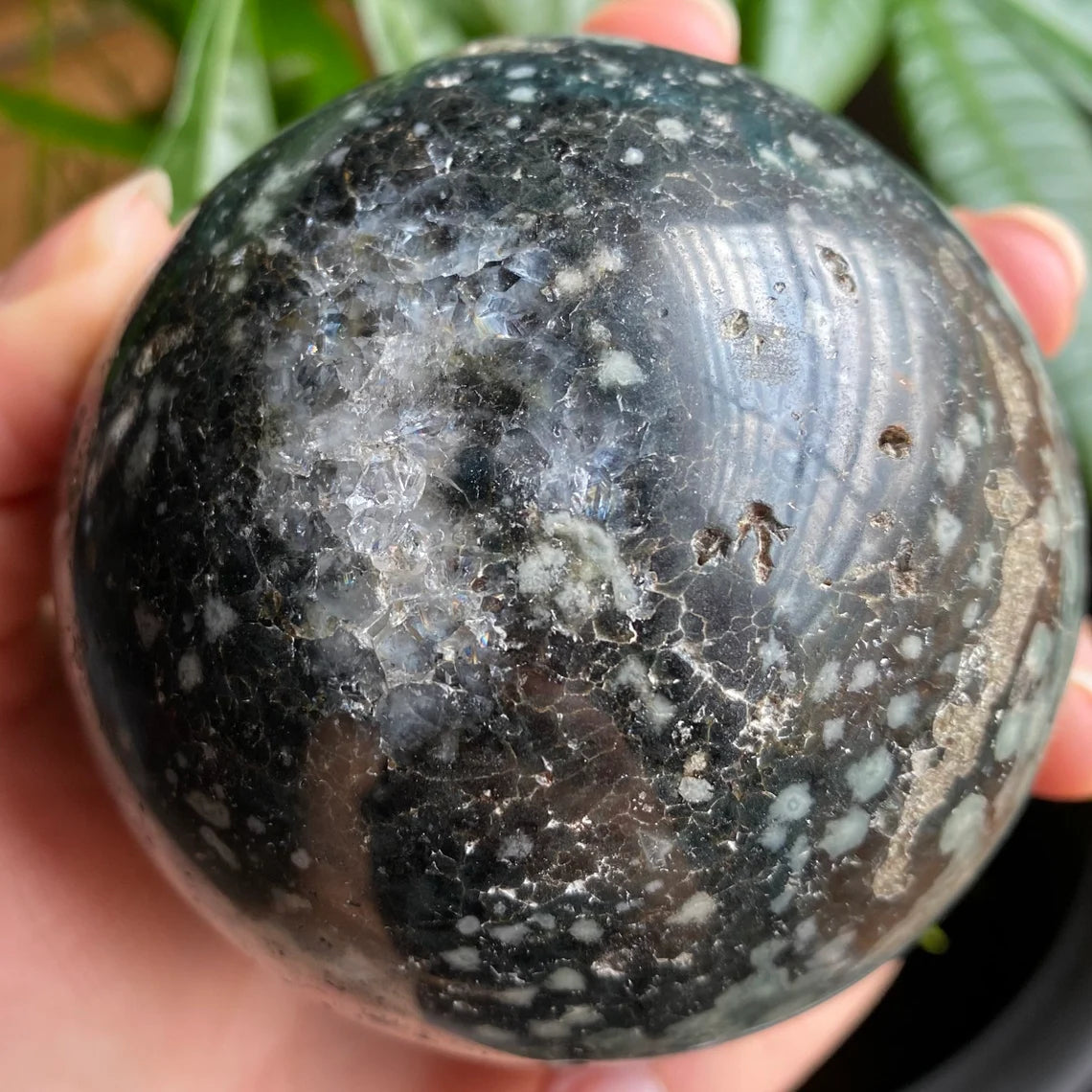 Ocean Jasper Sphere w/ Quartz | 1 lb 6.1 oz | 3.1" | Jasper | Crystal Sphere | OJ2