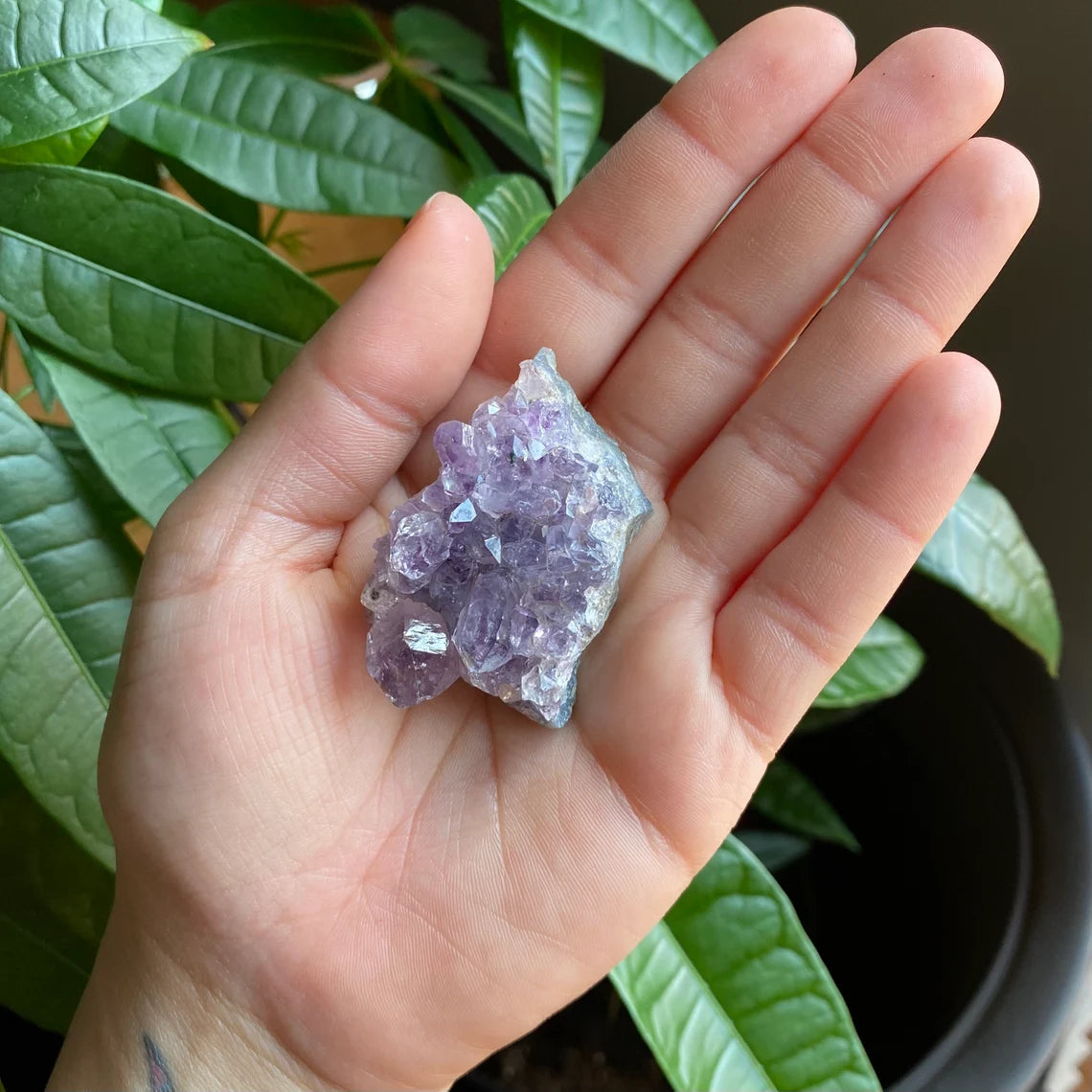 Natural Amethyst Cluster | 1.5 oz | 2 in | Rough Amethyst | Crystal Cluster | AC1