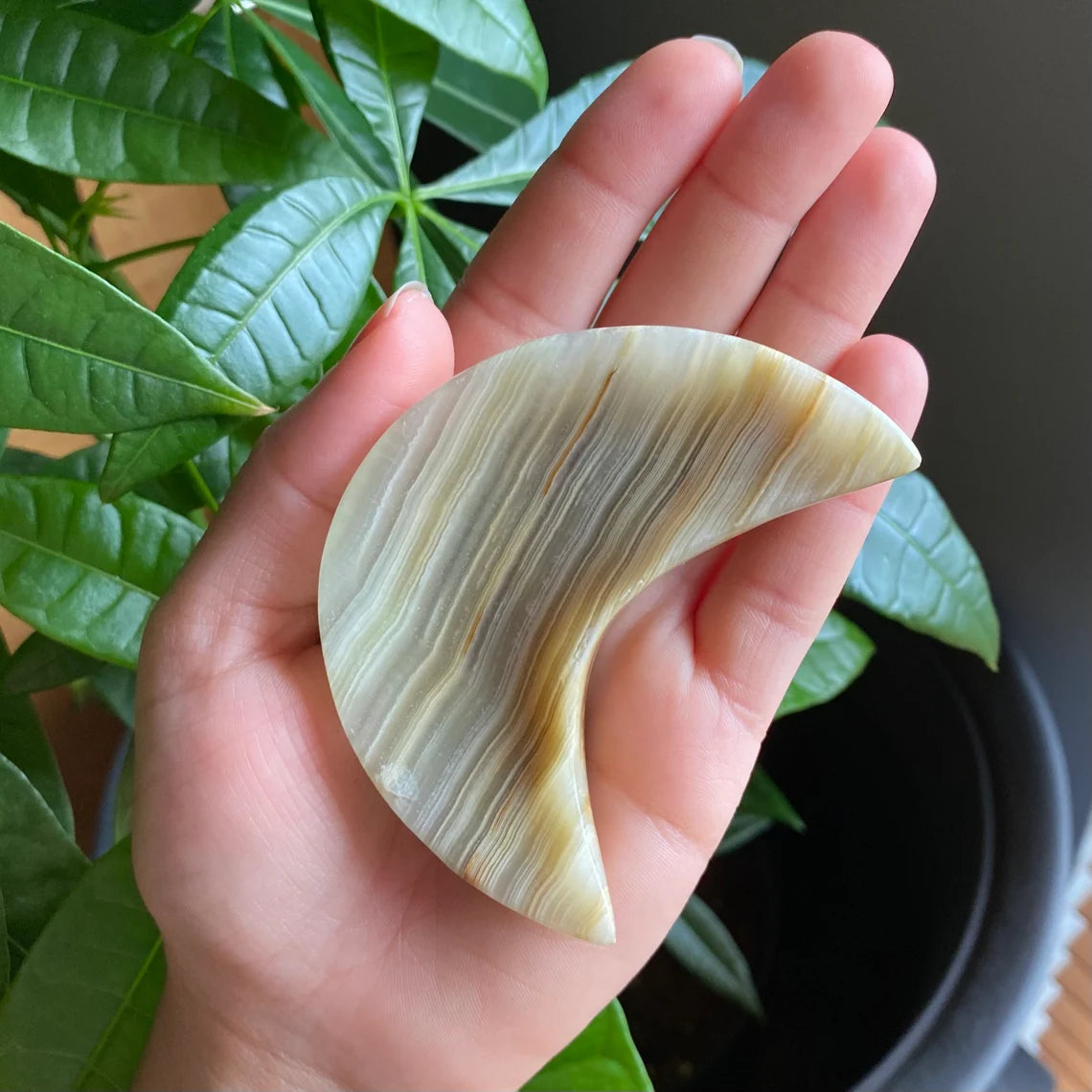 Green Onyx Moon Bowl | 3.1" | 4.2 oz | Banded Calcite | Crystal Bowl | Crystal Carving | CM2