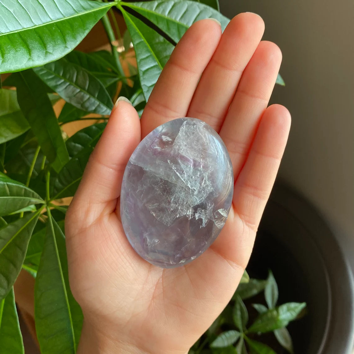 Large Rainbow Fluorite Palm Stone | 4.6 oz | 2.7" | Palm Stone | FP4