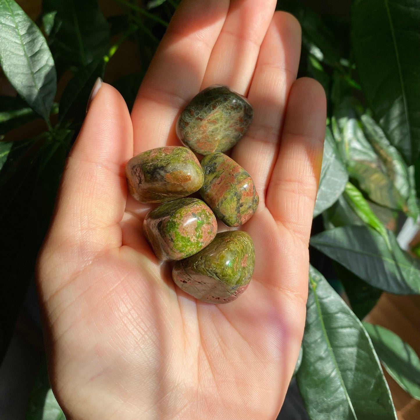 Unakite Tumbled Stone | Unakite Jasper | Tumbled Stone | Intuitively Selected (random)