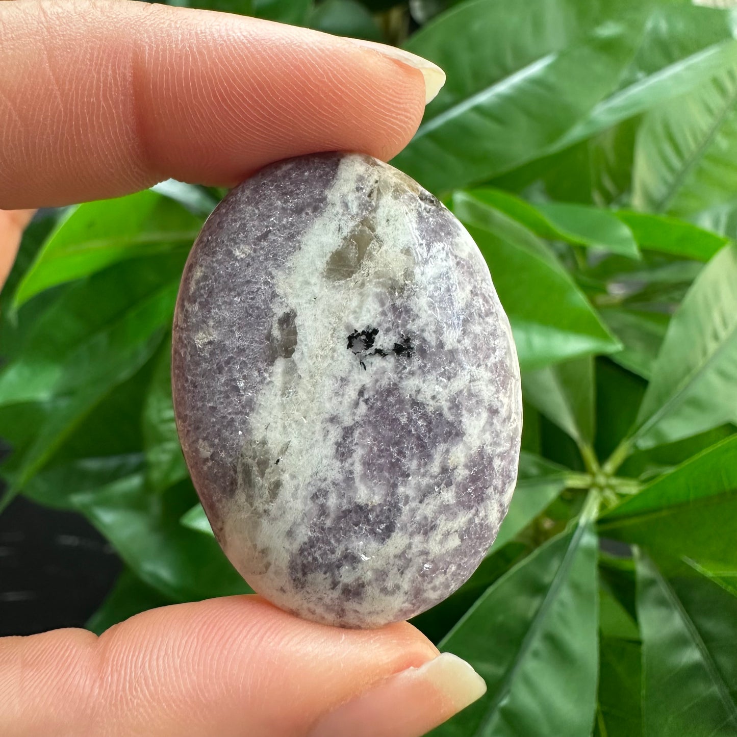Lepidolite Worry Stone | Crystal Worry Stone
