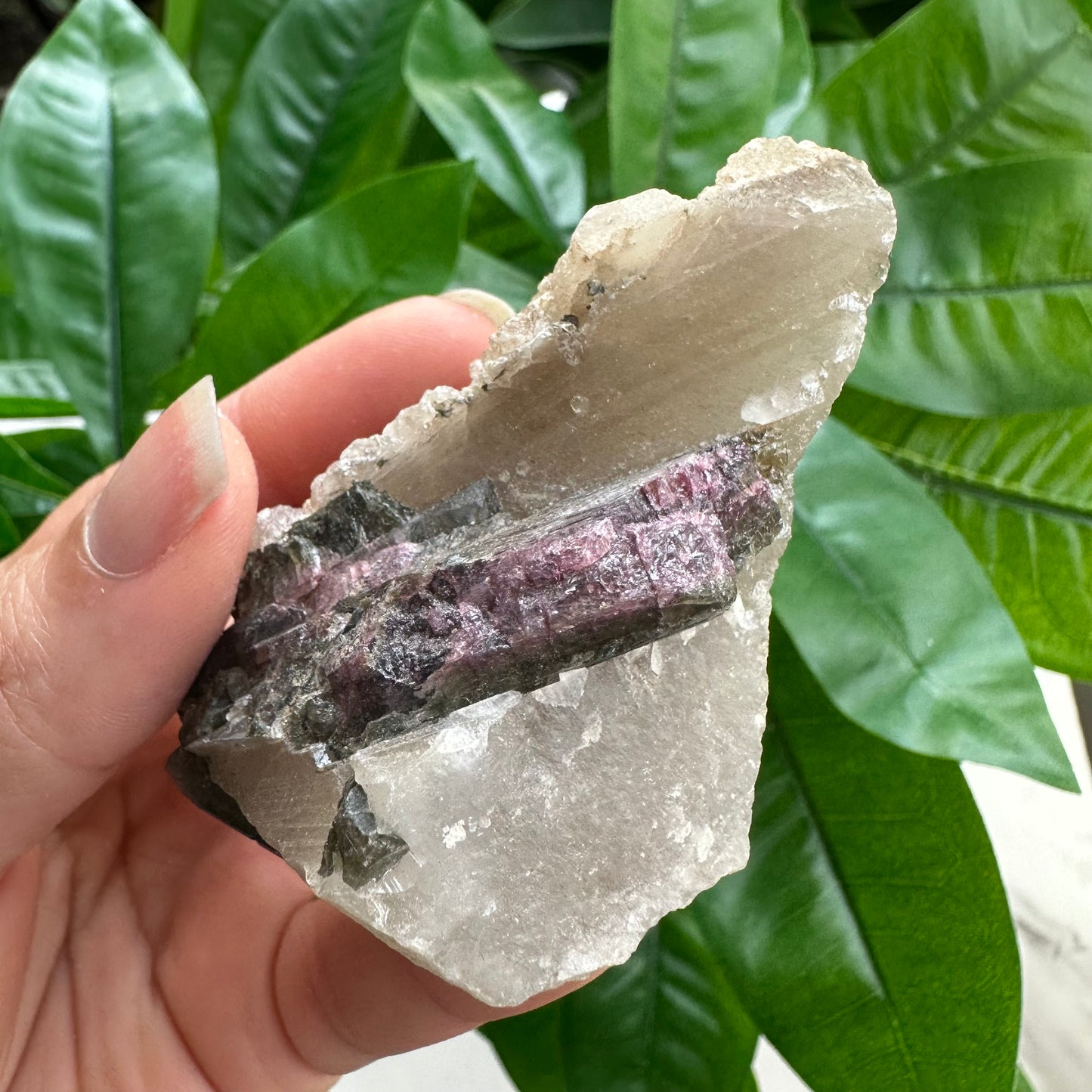 Rough Pink & Black Tourmaline on Quartz Matrix | RPT4