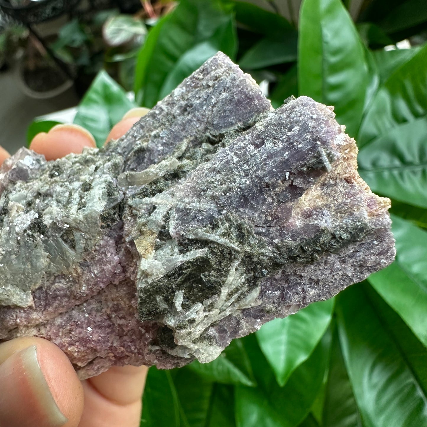 Rough Pink & Black Tourmaline on Quartz Matrix | RPT1