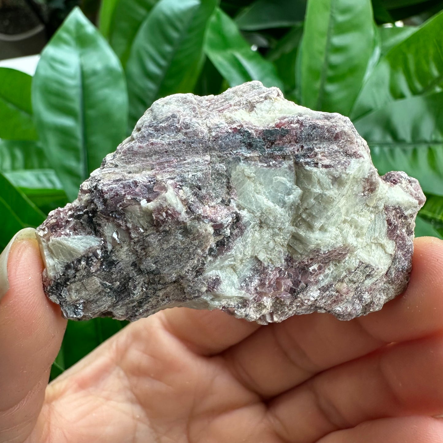 Rough Pink & Black Tourmaline on Quartz Matrix | RPT3