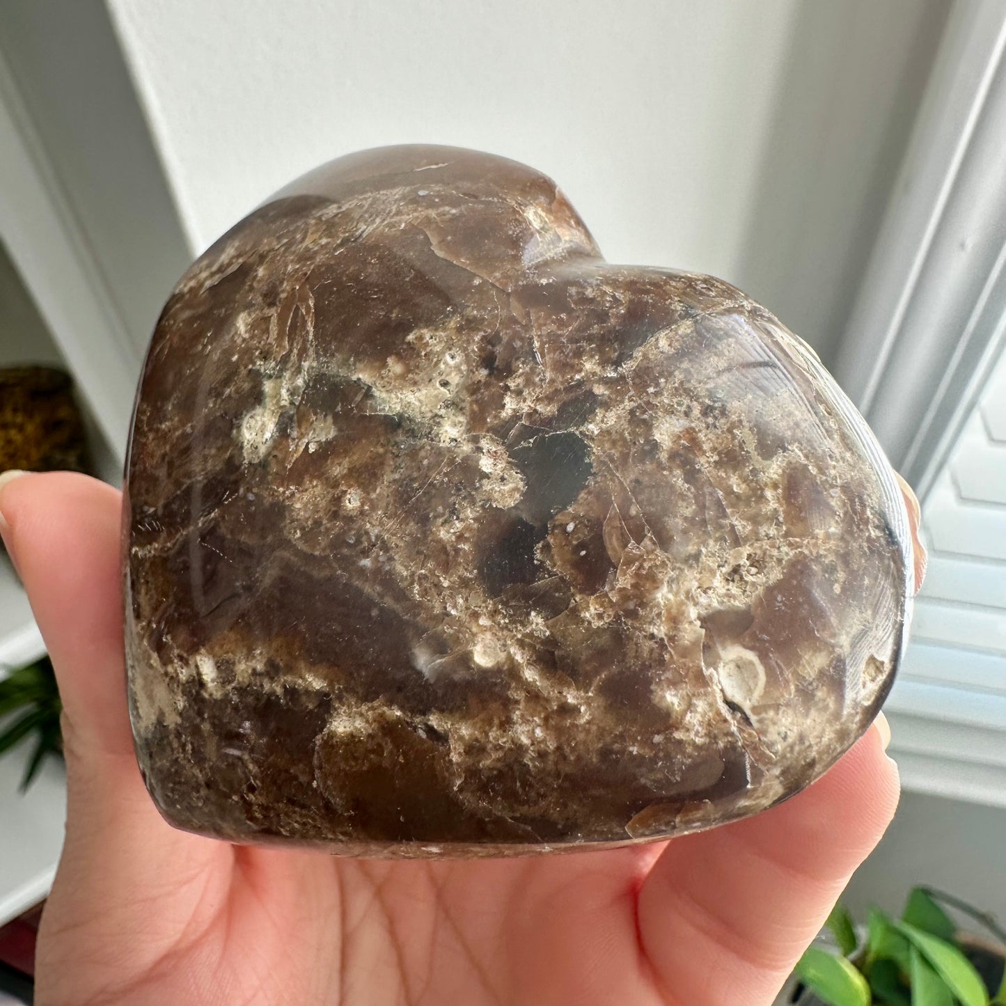 Petrified Wood Heart
