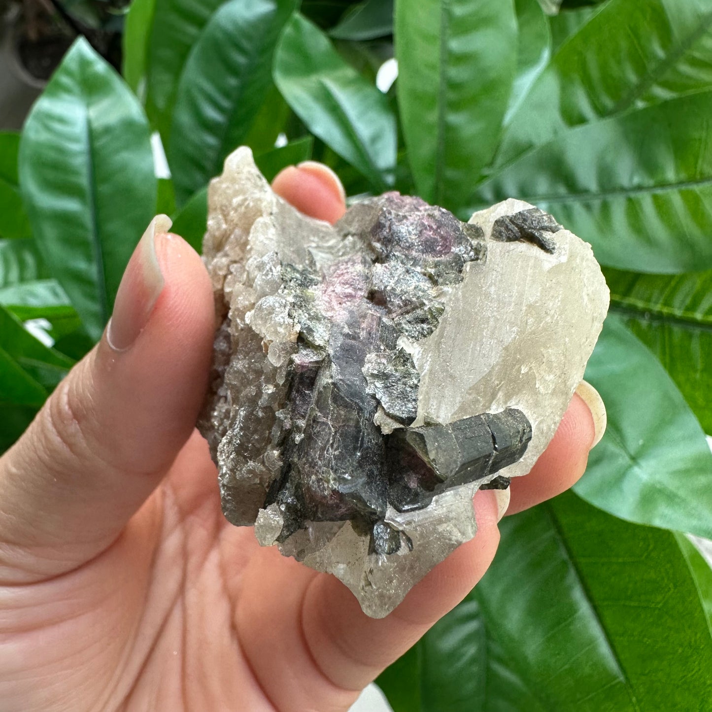 Rough Pink & Black Tourmaline on Quartz Matrix | RPT4