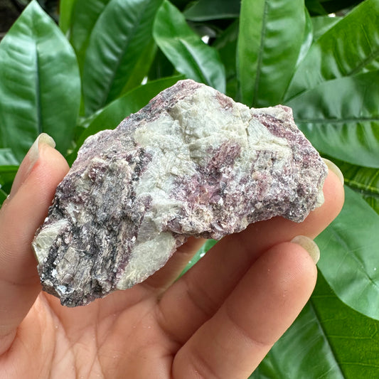 Rough Pink & Black Tourmaline on Quartz Matrix | RPT3