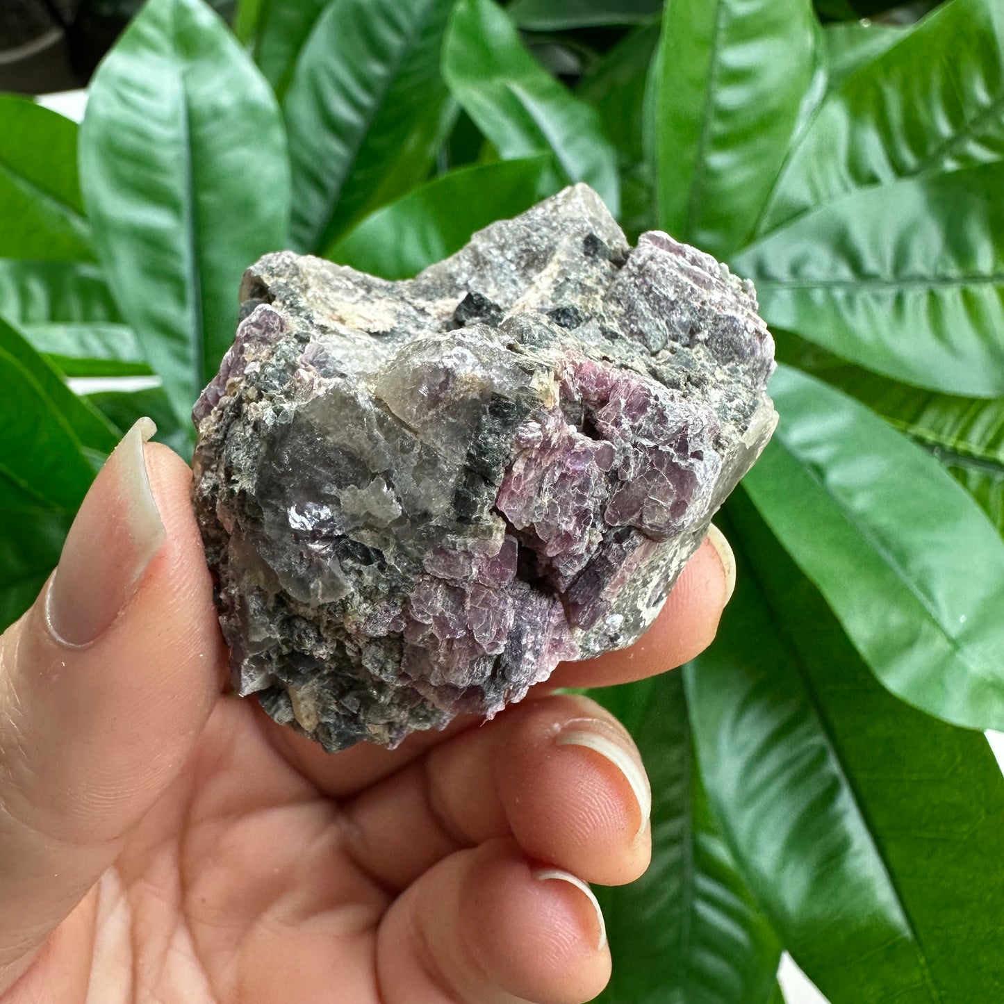 Rough Pink & Black Tourmaline on Quartz Matrix | RPT2