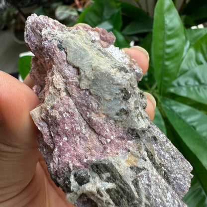 Rough Pink & Black Tourmaline on Quartz Matrix | RPT1