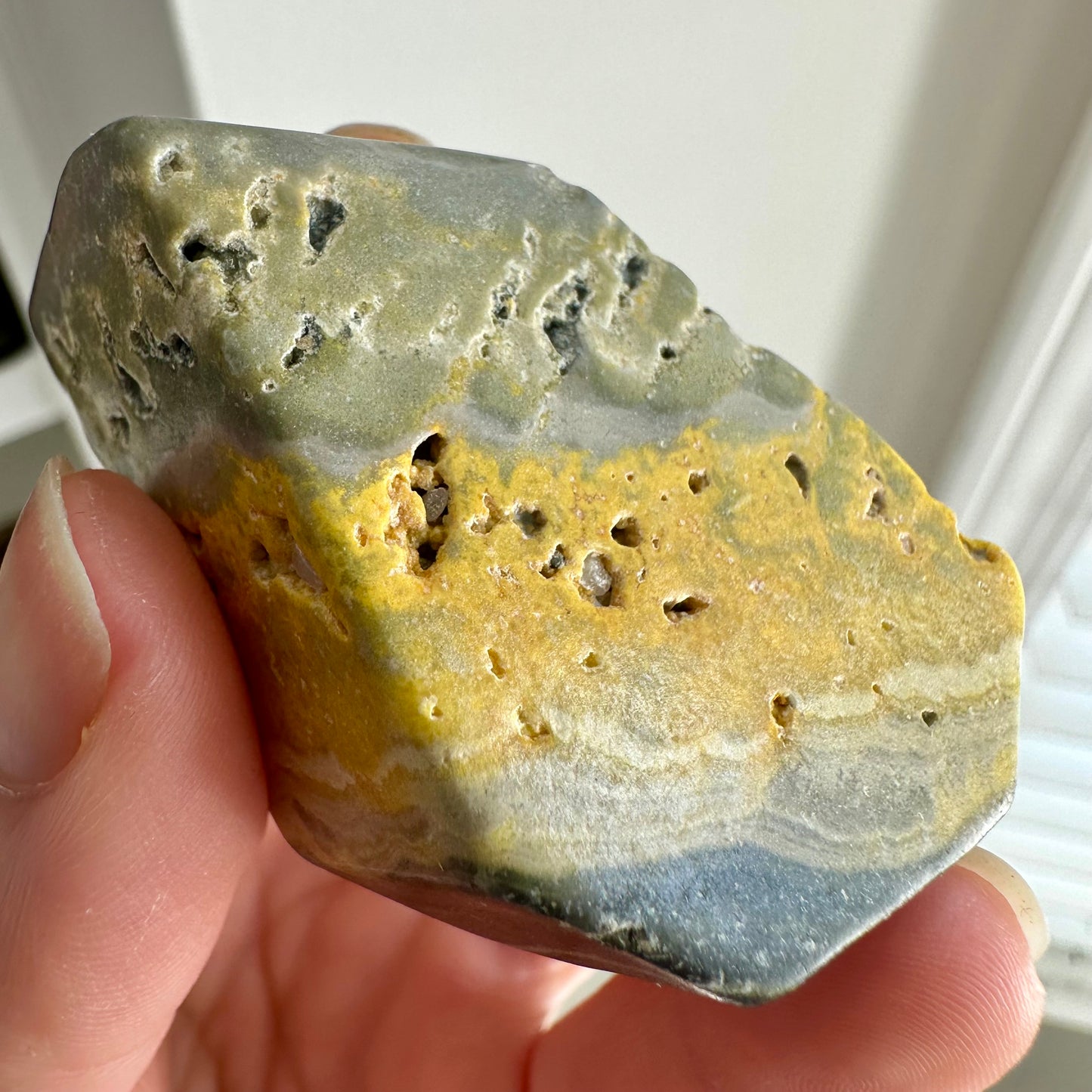 Bumblebee Jasper Freeform