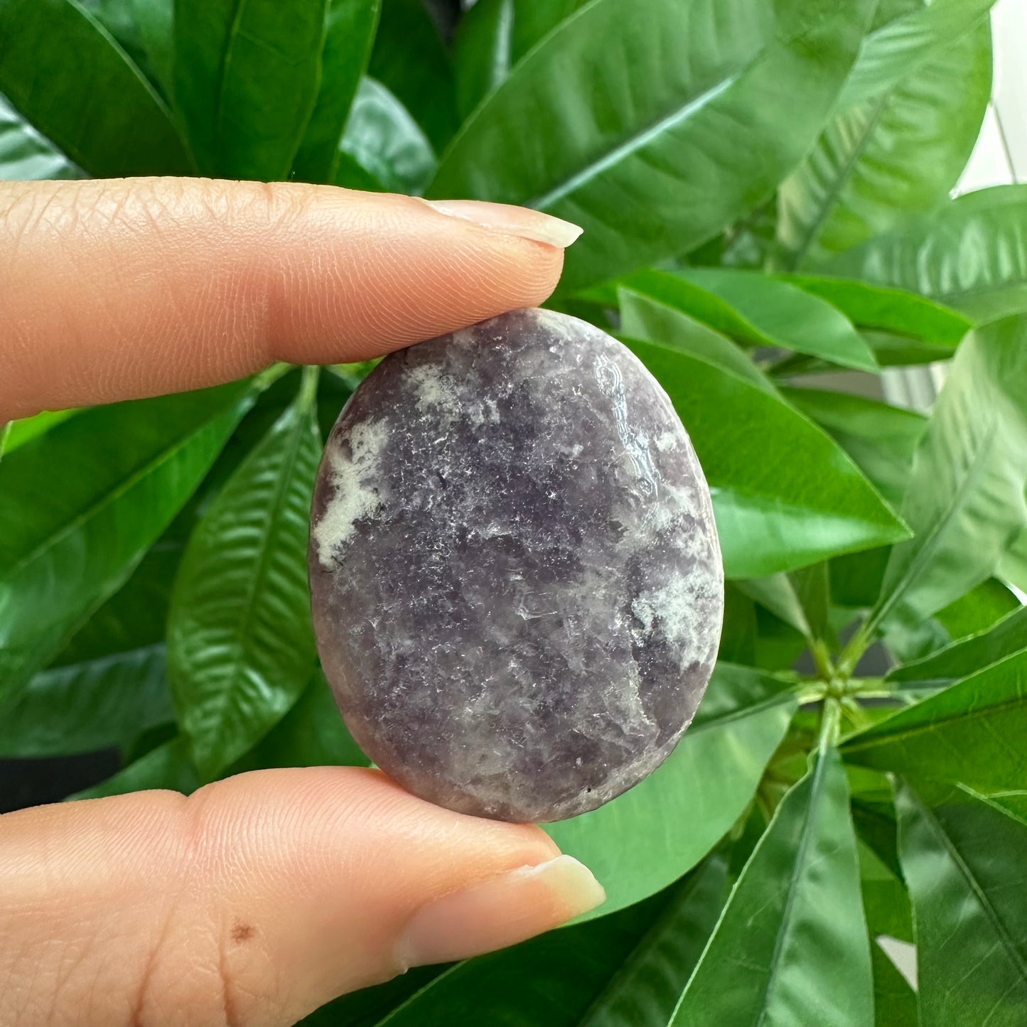 Lepidolite Worry Stone | Crystal Worry Stone