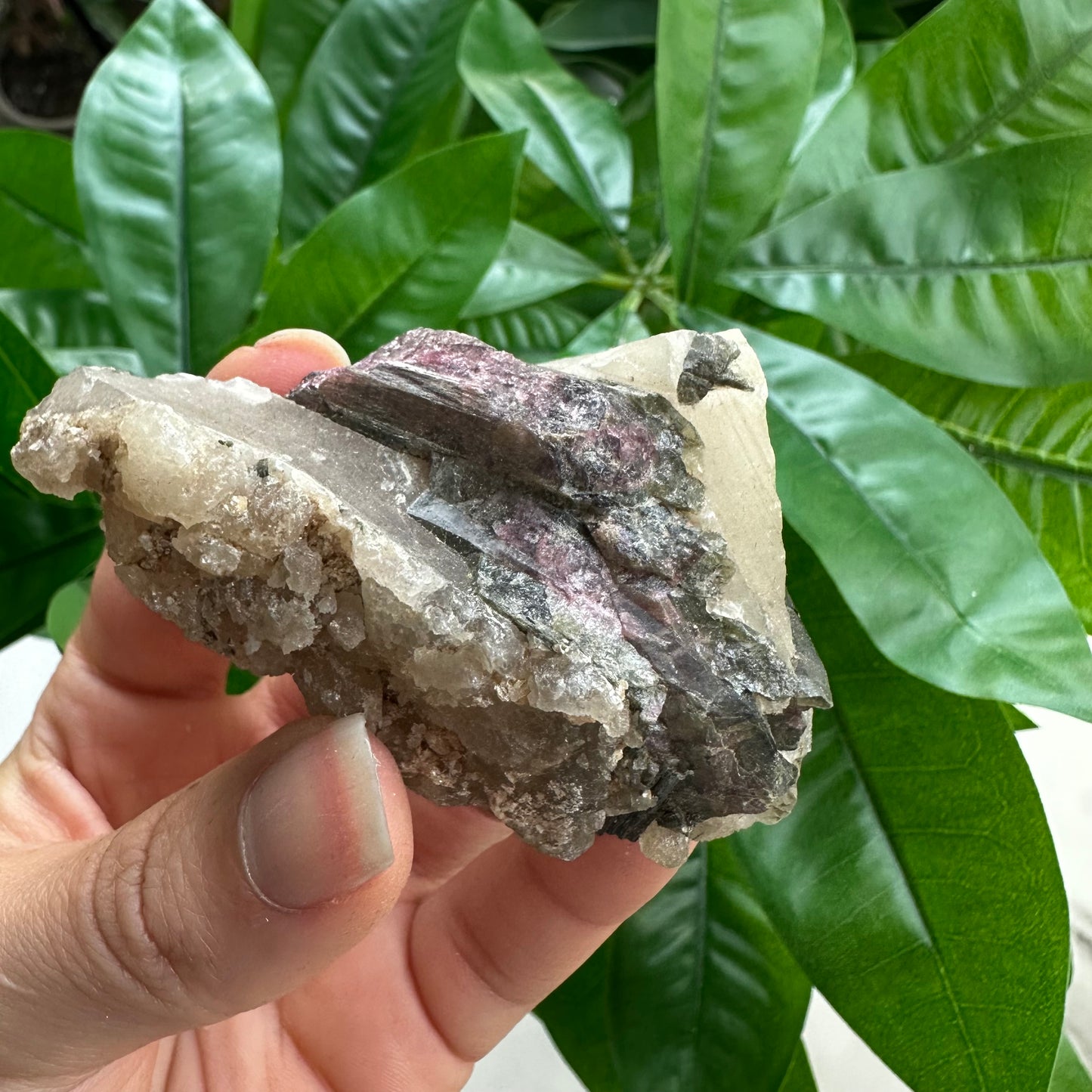 Rough Pink & Black Tourmaline on Quartz Matrix | RPT4