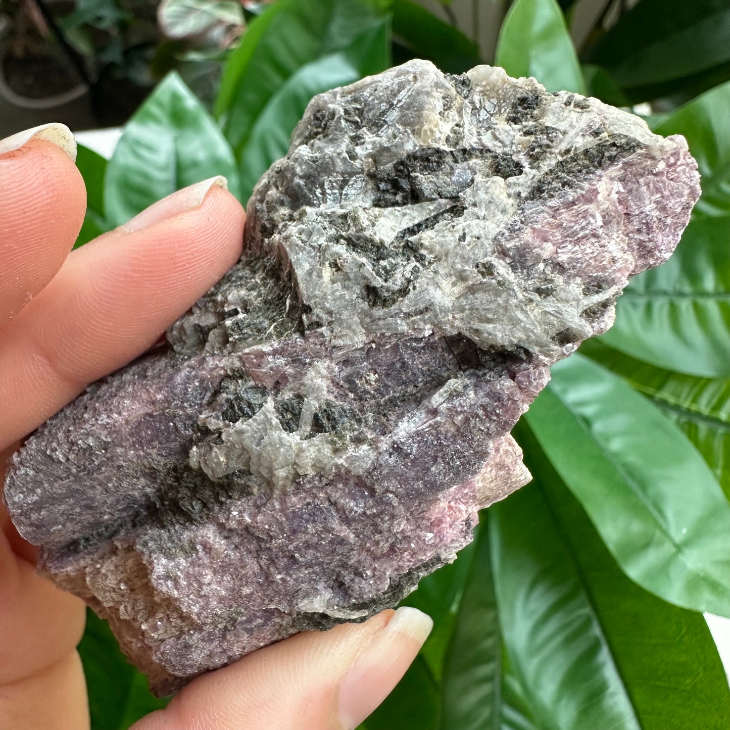 Rough Pink & Black Tourmaline on Quartz Matrix | RPT1