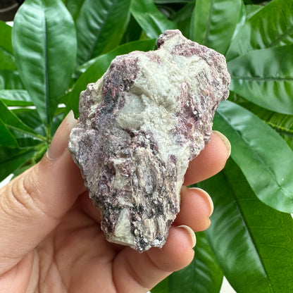 Rough Pink & Black Tourmaline on Quartz Matrix | RPT3