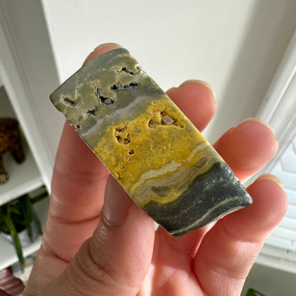Bumblebee Jasper Freeform