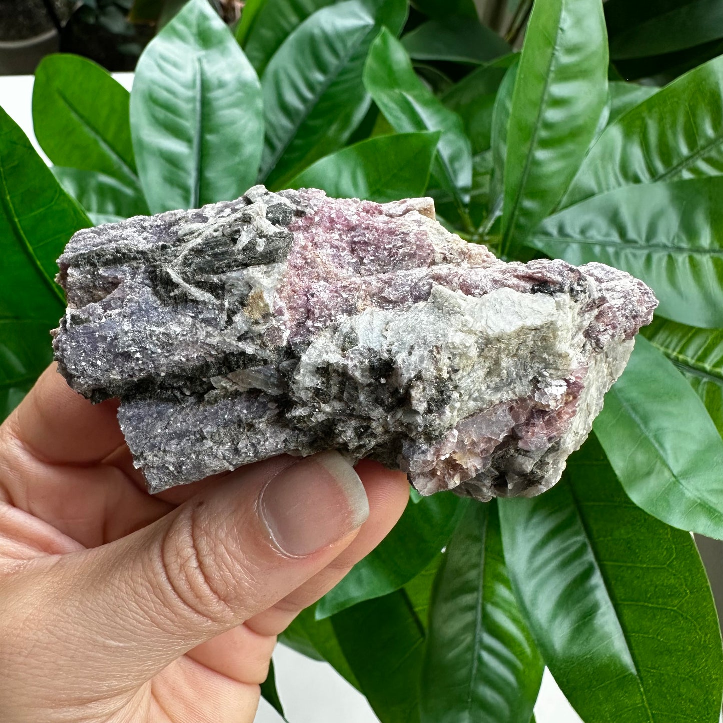 Rough Pink & Black Tourmaline on Quartz Matrix | RPT1