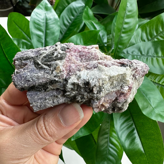 Rough Pink & Black Tourmaline on Quartz Matrix | RPT1