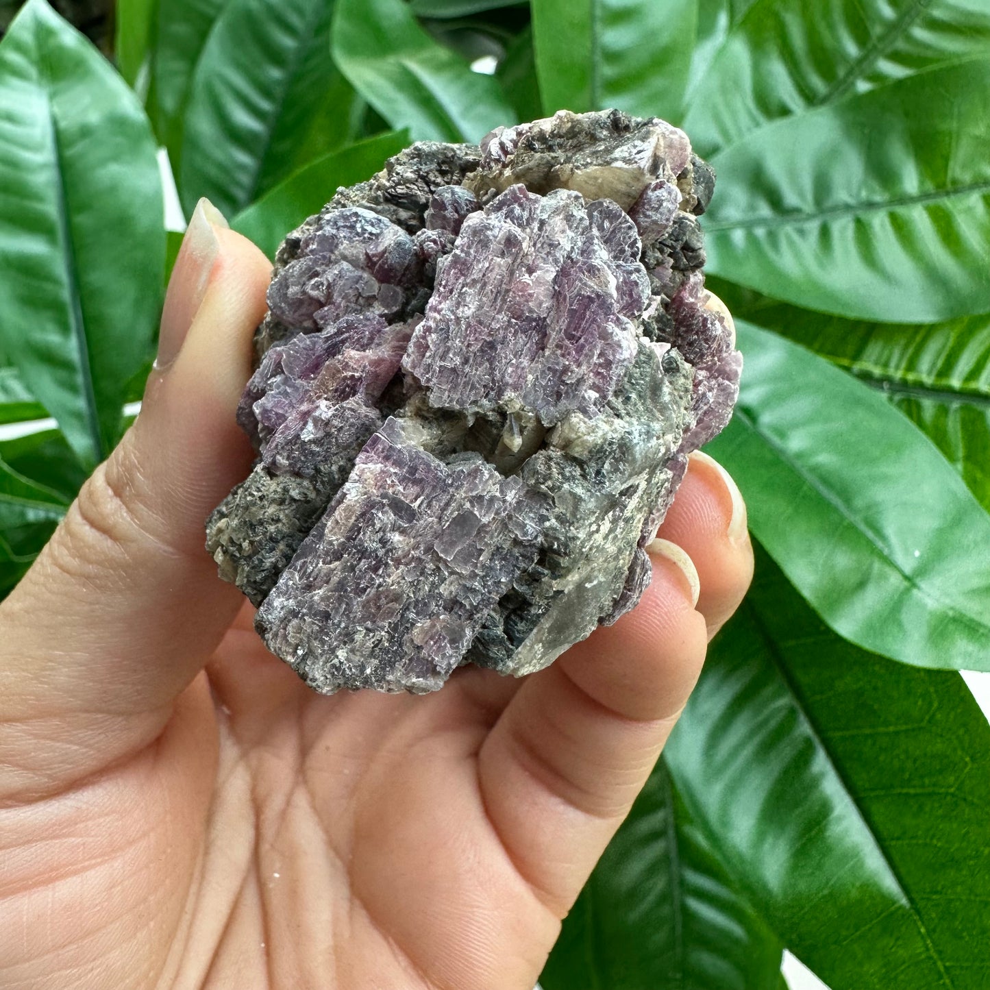 Rough Pink & Black Tourmaline on Quartz Matrix | RPT2