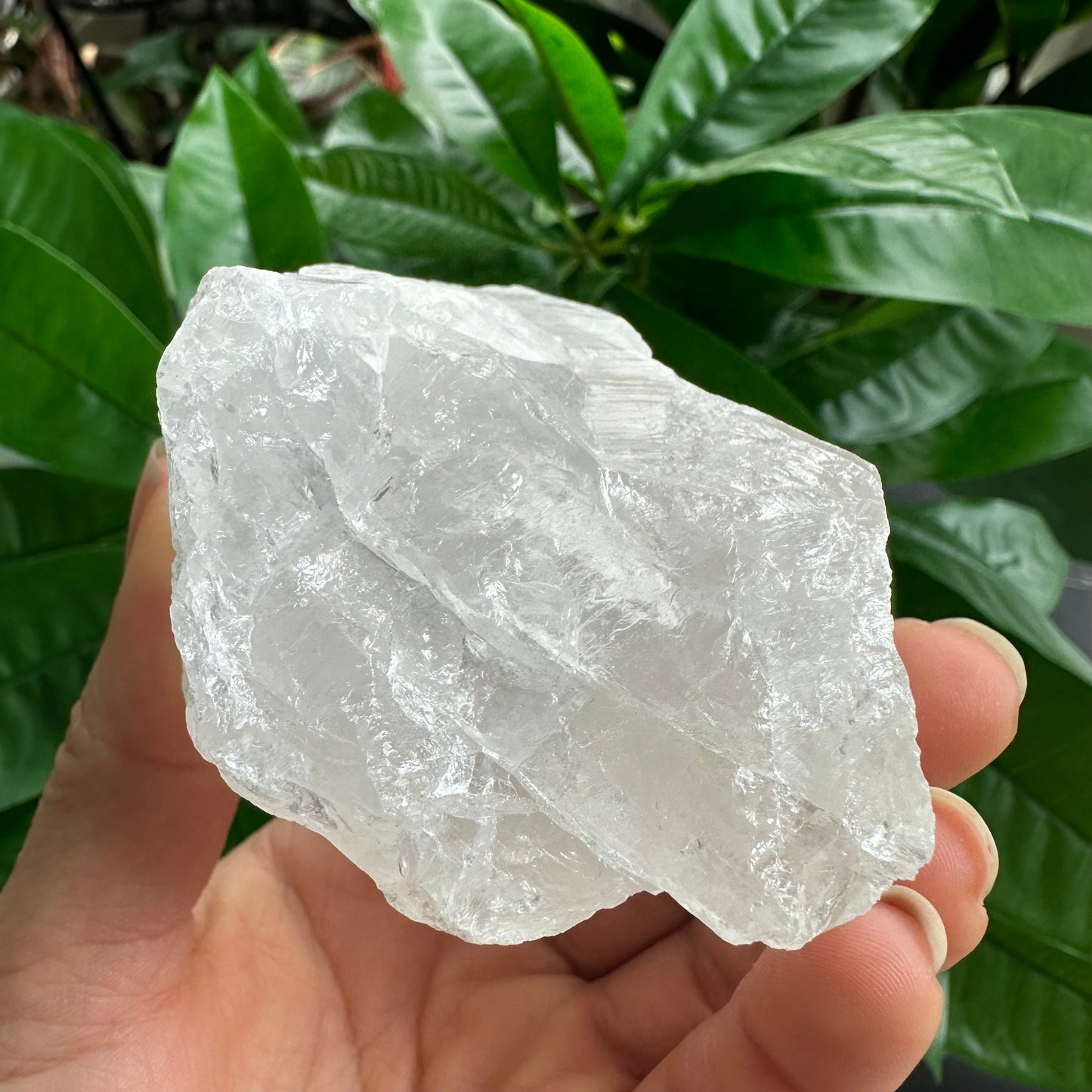 Rough Clear Quartz | 12.1 oz | 3.2”  | Rough Stone | Palm Size Stone | Q12