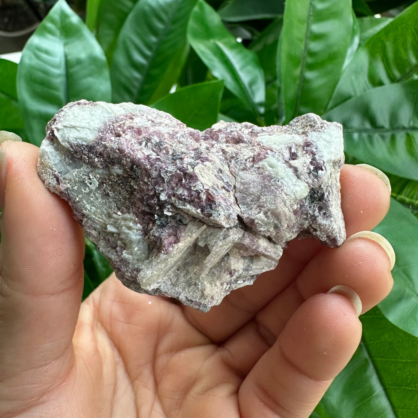 Rough Pink & Black Tourmaline on Quartz Matrix | RPT3