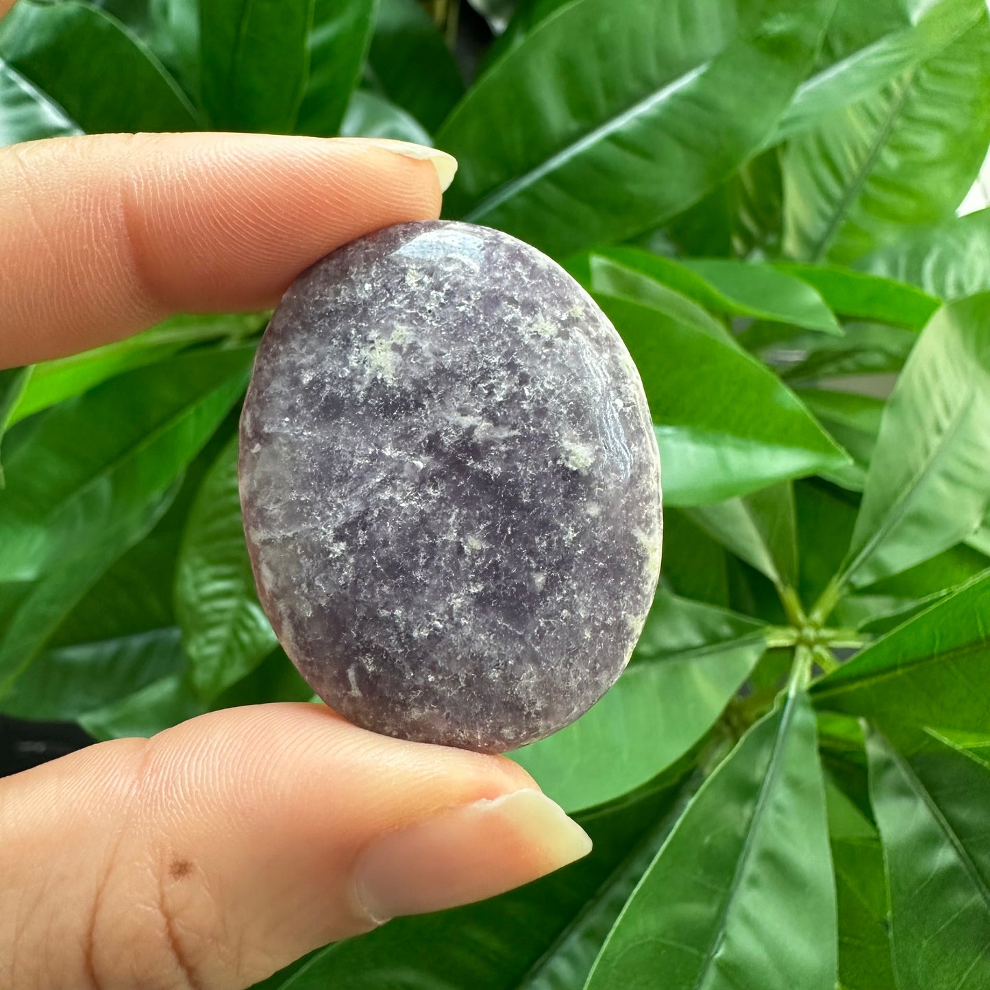 Lepidolite Worry Stone | Crystal Worry Stone