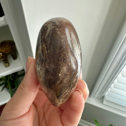 Petrified Wood Heart