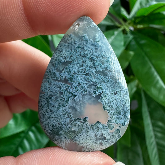 Tree Agate Cabochon | For Wire Wrapping & Jewelry Making | AC2