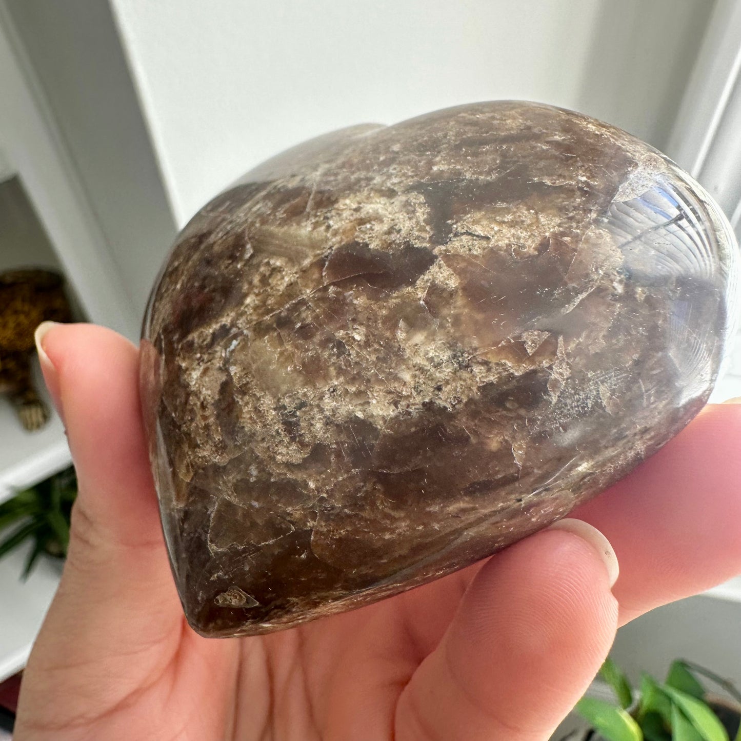 Petrified Wood Heart