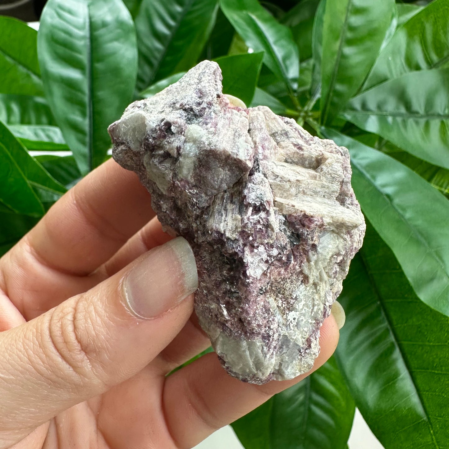 Rough Pink & Black Tourmaline on Quartz Matrix | RPT3