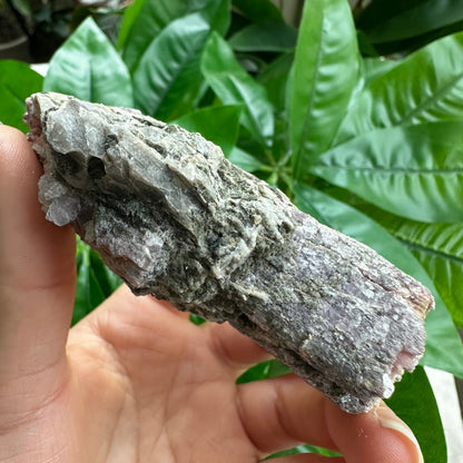 Rough Pink & Black Tourmaline on Quartz Matrix | RPT1