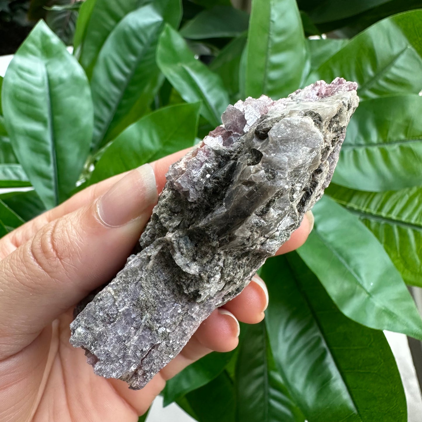 Rough Pink & Black Tourmaline on Quartz Matrix | RPT1