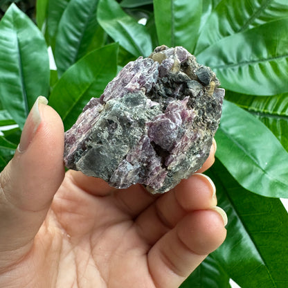 Rough Pink & Black Tourmaline on Quartz Matrix | RPT2