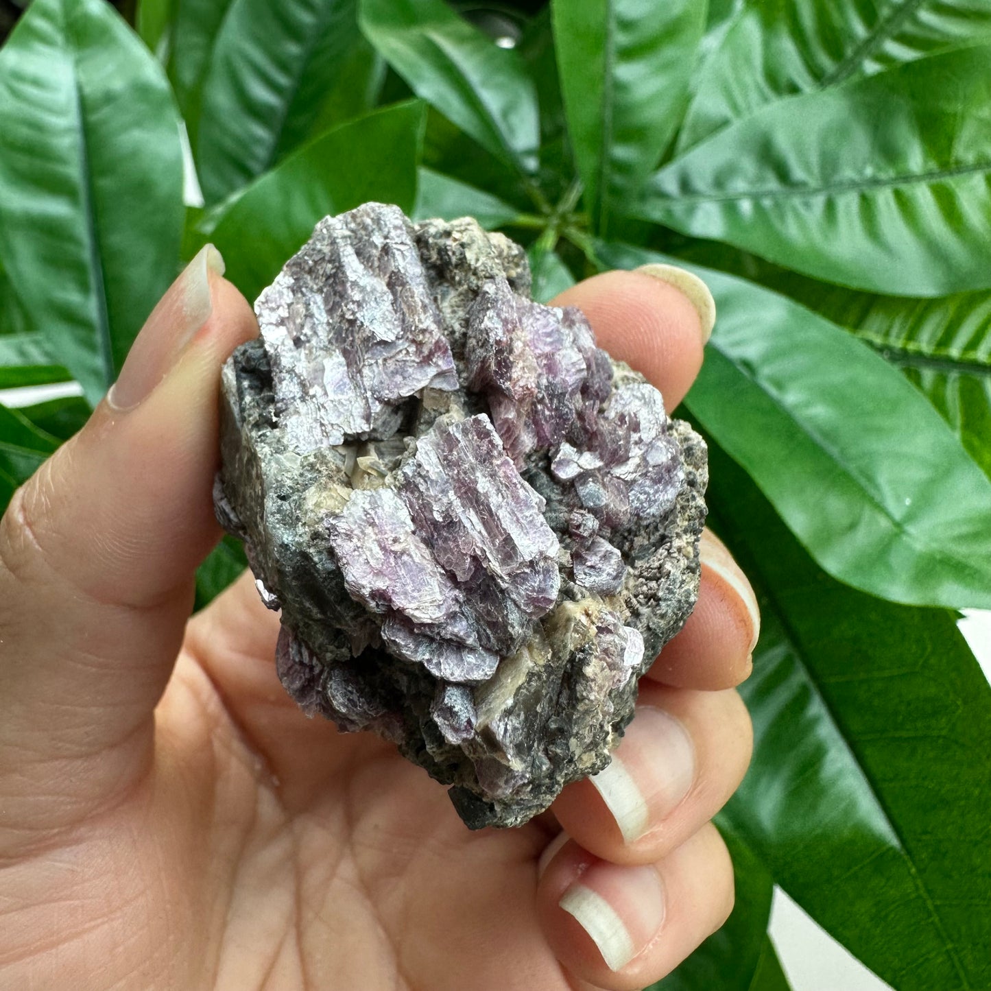Rough Pink & Black Tourmaline on Quartz Matrix | RPT2