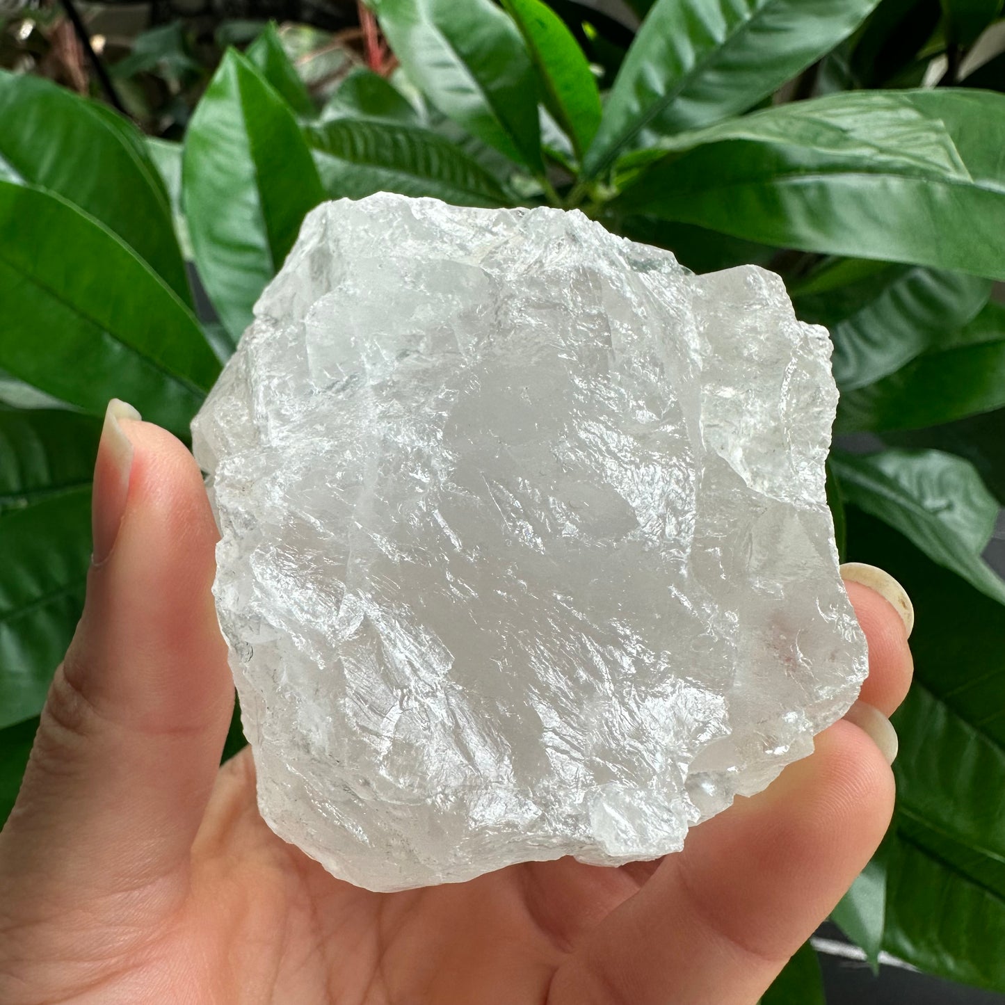 Rough Clear Quartz | 12.1 oz | 3.2”  | Rough Stone | Palm Size Stone | Q12